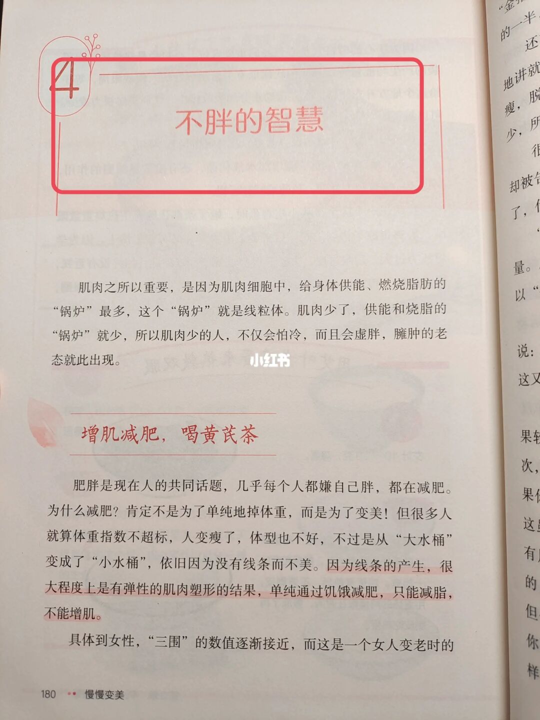 不胖的智慧——无痛瘦全身，试试就知道🔥