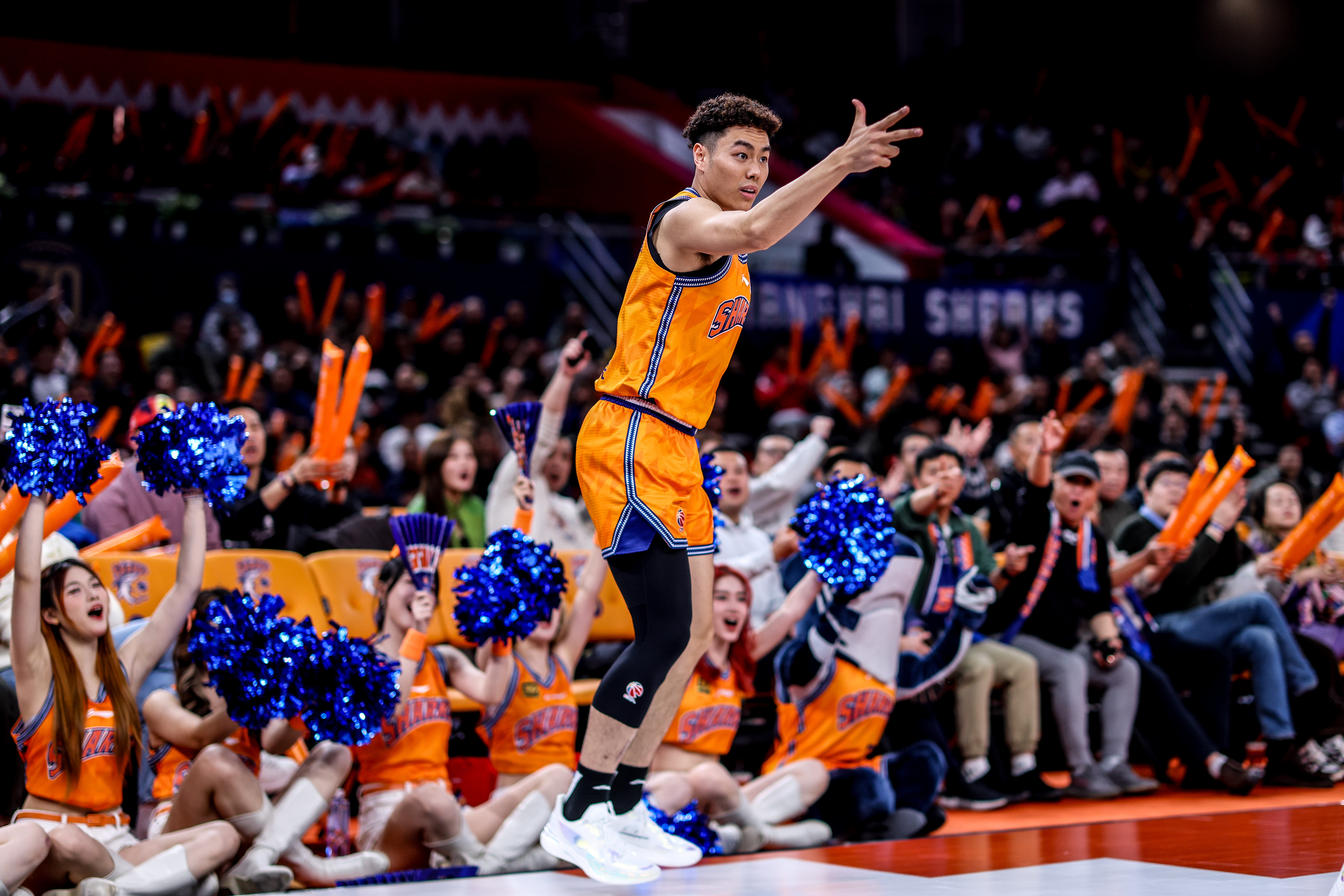 产量和效率兼具的“李花兄弟Plus版”上海久事大鲨鱼