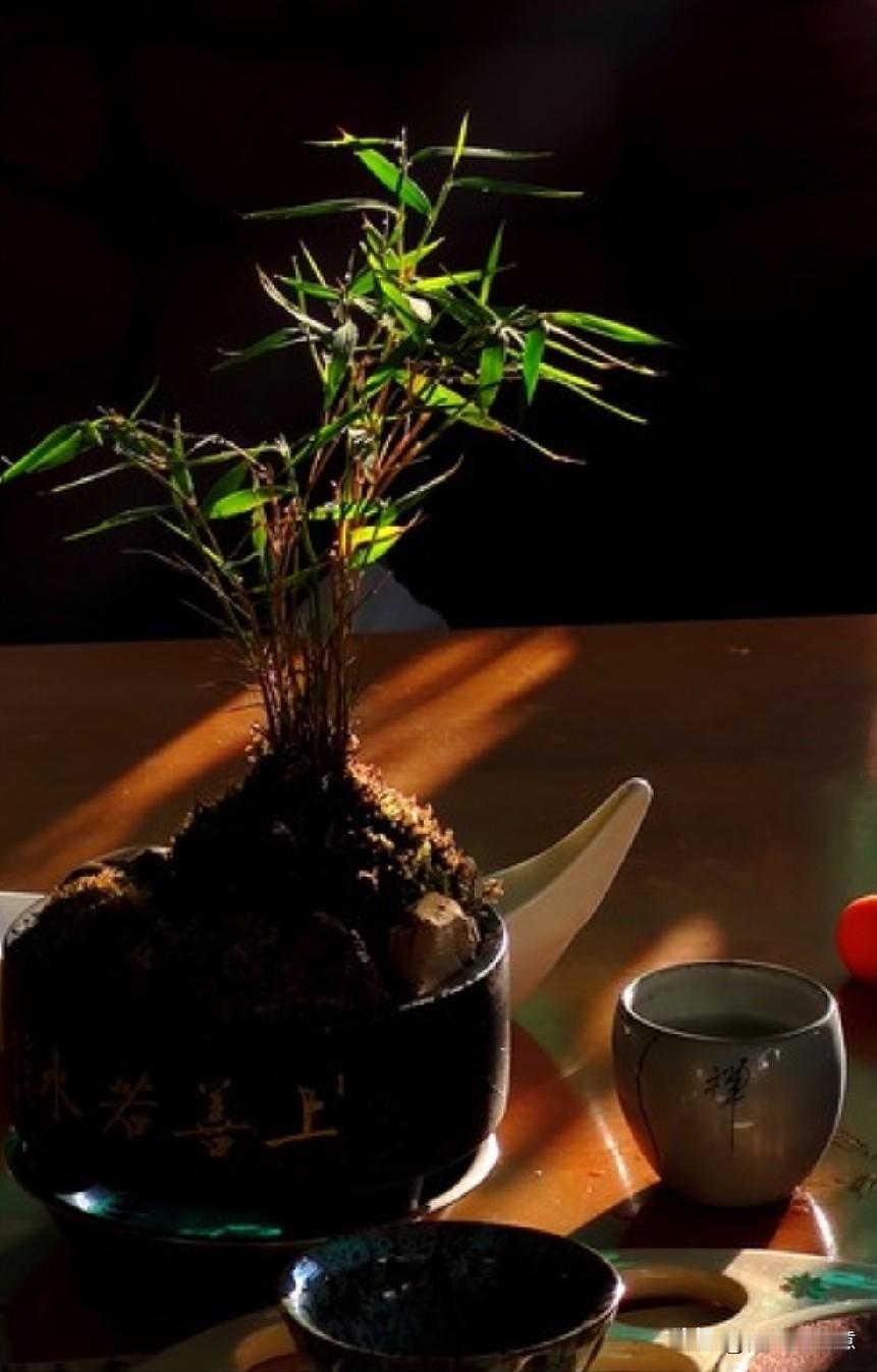 “人唯有在顺境时，才像个谦谦君子”


别太高估自身的修养
那可能仅仅因为——