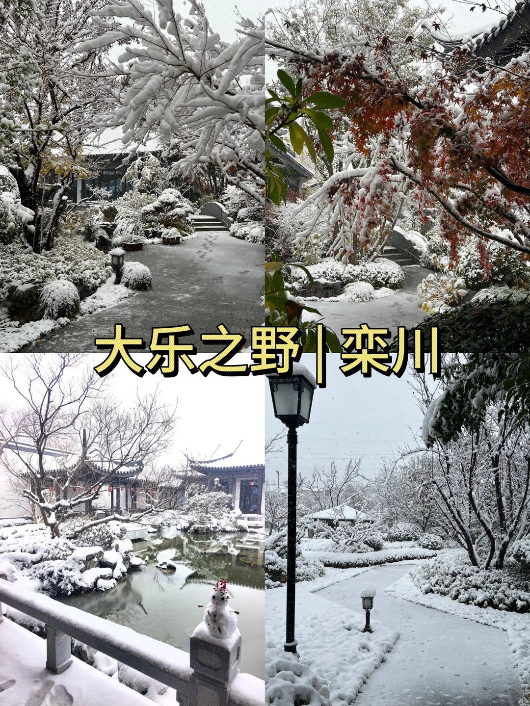 救命🆘老君山大乐之野冬日躺平封神了😭