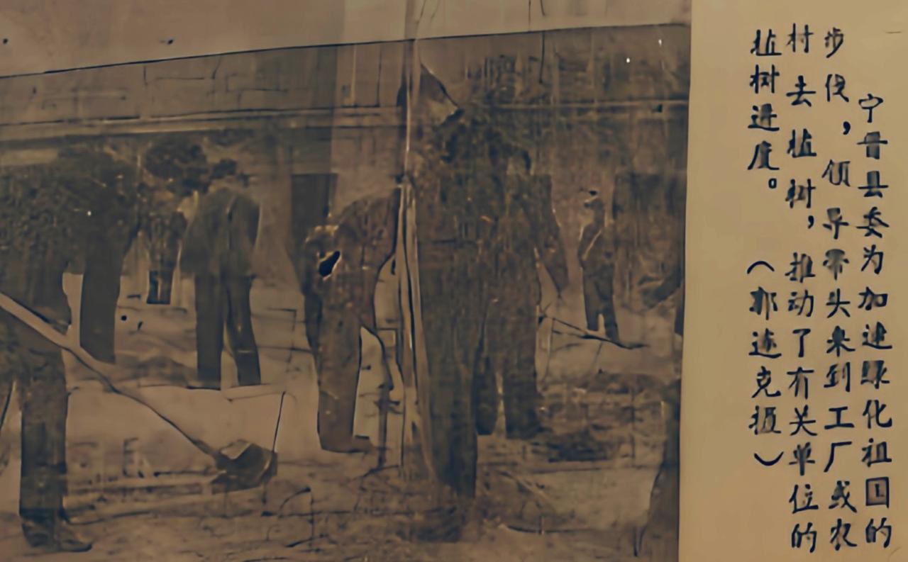 宁晋县县委领导参加植树活动（摄影 郭连克）。