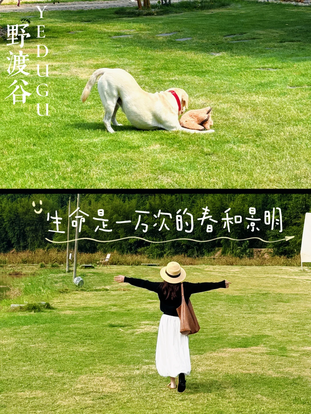 不出广东！躺进山野春日里