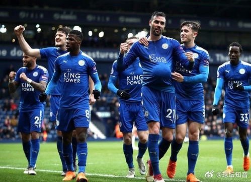 026 英足总杯 纽卡斯尔联VS曼彻斯特城足球         足总杯1/8决赛