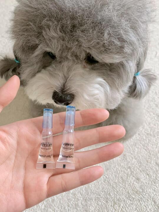 只花不到进口驱虫三分之一价格就驱干净了..