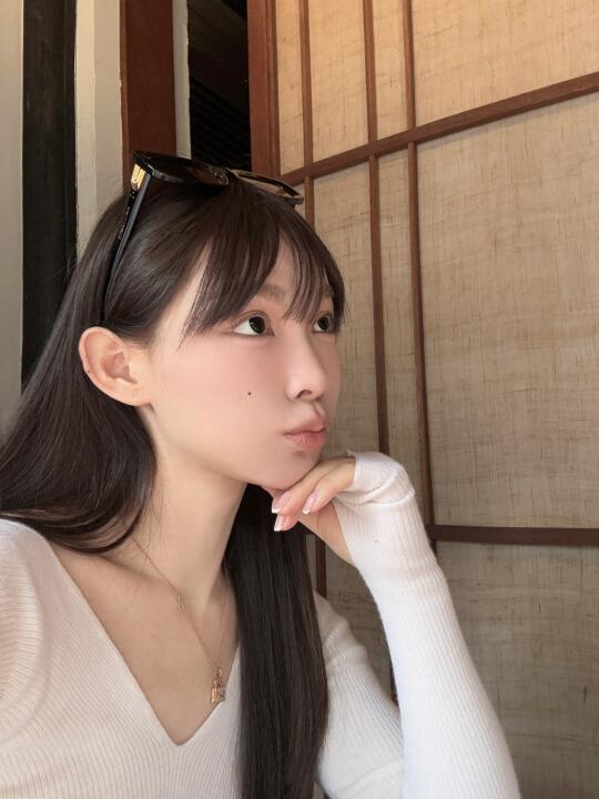 宠物友好的美食体验