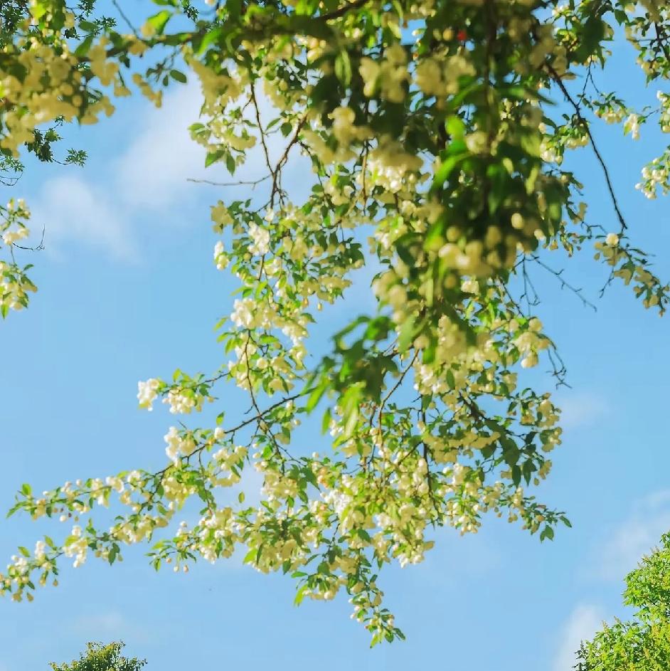 不管在哪上班，都要注意以下几点
领导再不好，也不要说出来
与同事关系再好，也不要