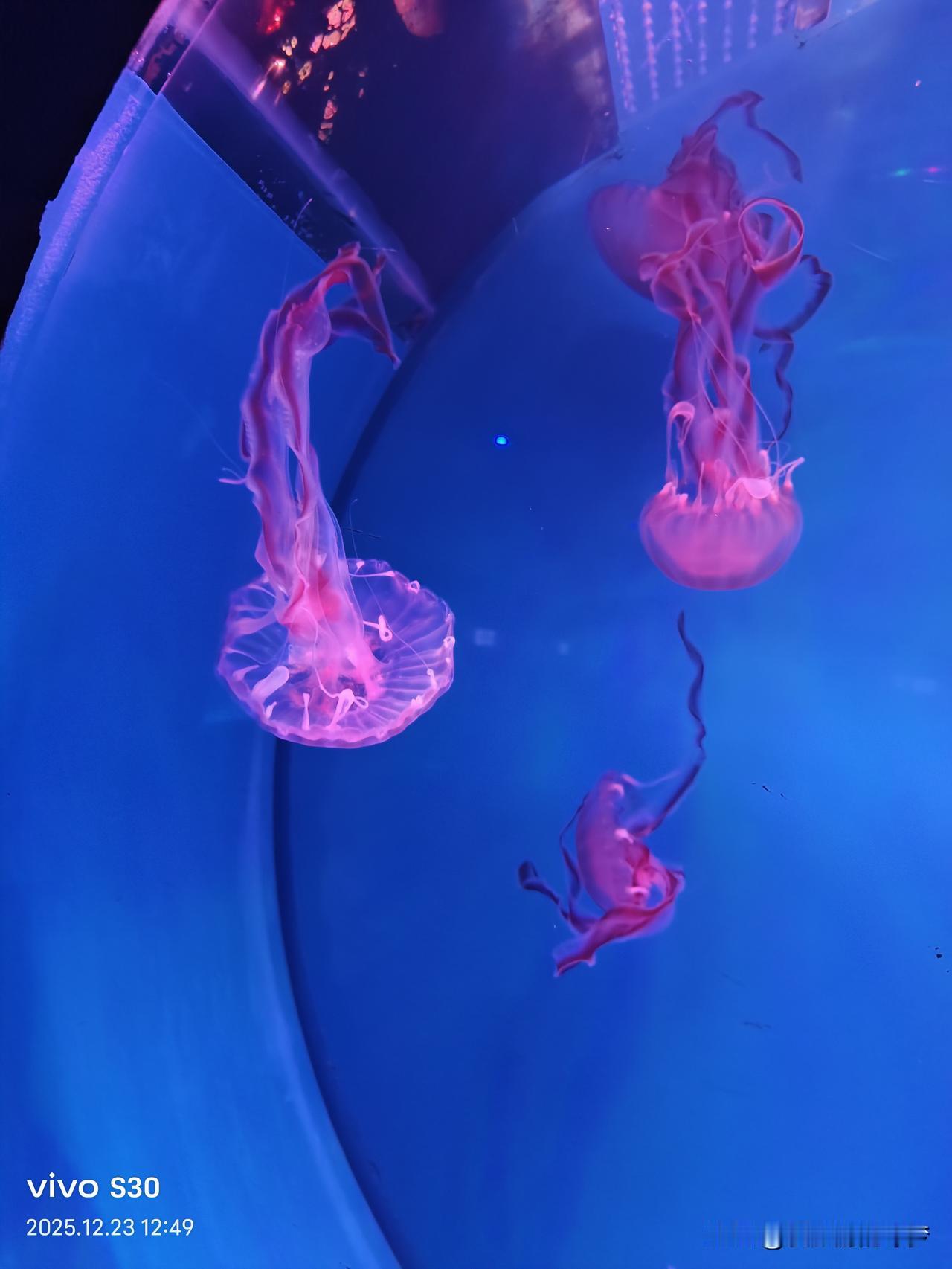 冬日生活打卡季