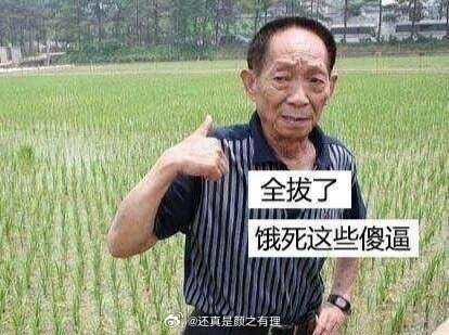 200万粉网红诋毁袁隆平水稻育种技术爷爷还是让你这网红吃太饱了诋毁袁隆平成果网红