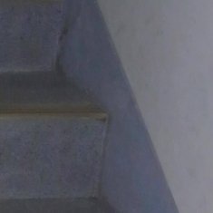 0000杏树的种植方法杏树喜充足光照，疏松沙质壤土，春秋移栽。地栽选向阳高燥处，