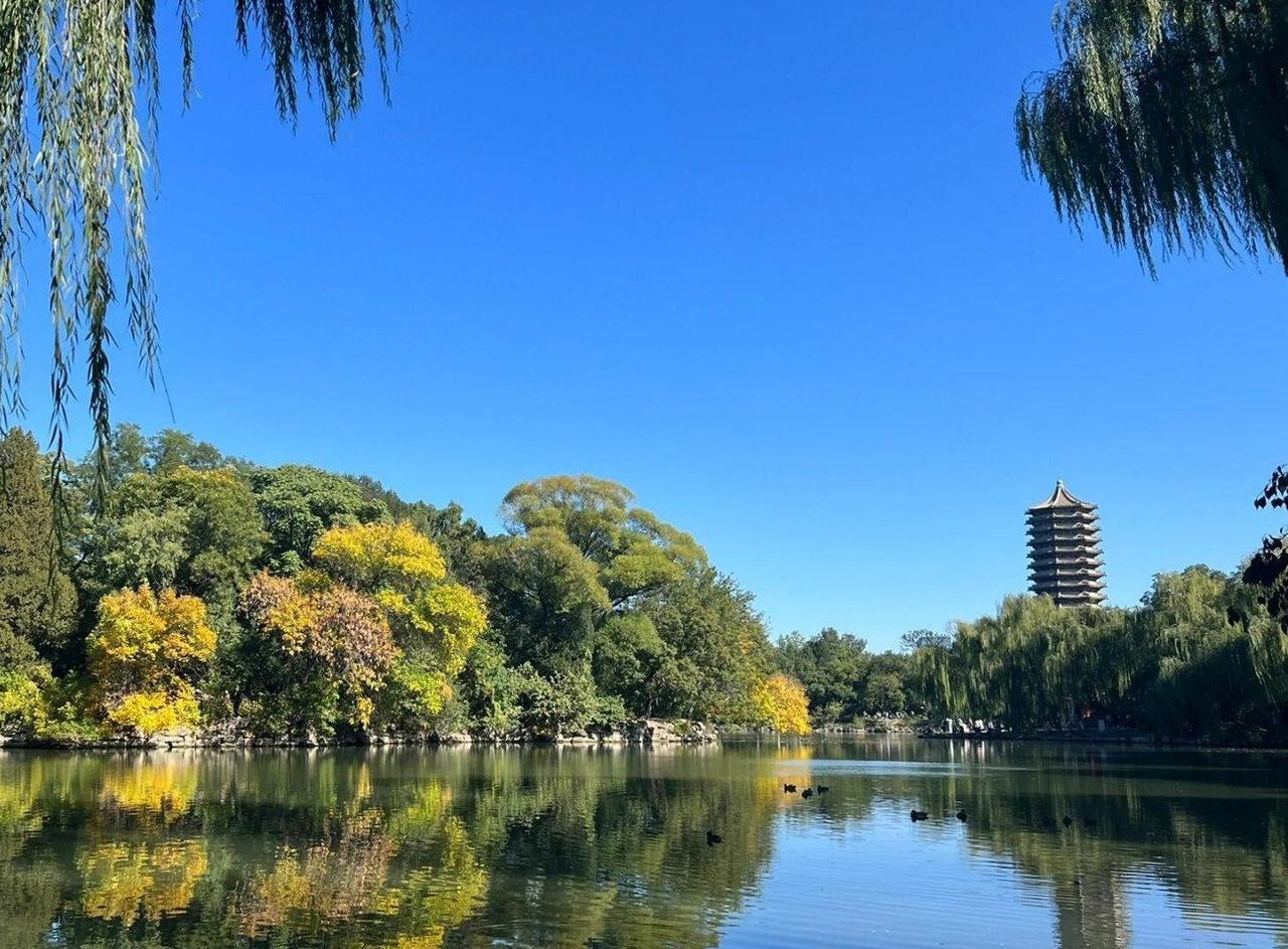 理想的大学，从来都是真理面前人人平等
 
何为真正理想的大学？不是堆砌华丽的校舍