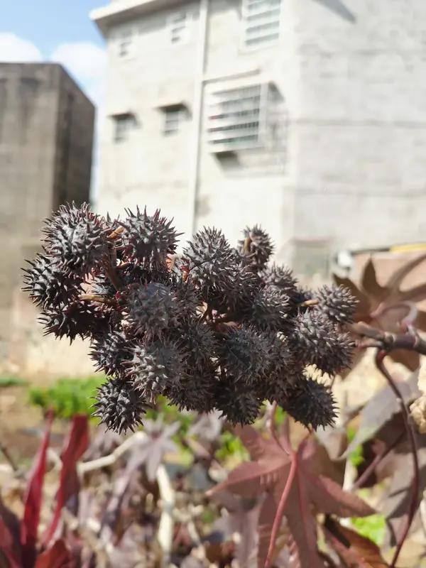 湖南常德这对双胞胎姐妹的名字太有意思了，姐姐叫杨灿，妹妹叫杨烂。父母取名的初衷挺
