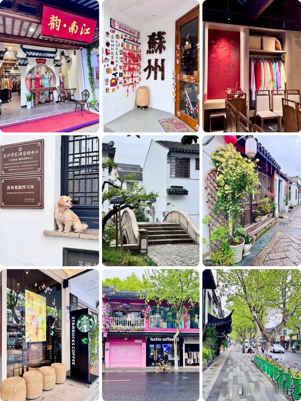 苏州阔家巷 十全街｜深巷寻文脉 长街品生活     

        从网师园