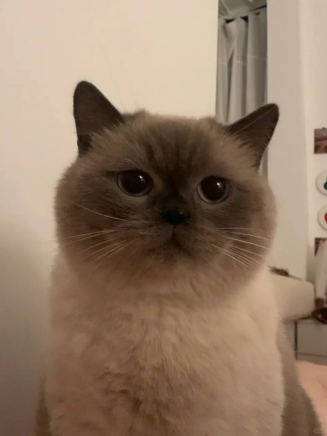 我说没洗脸不准上床…