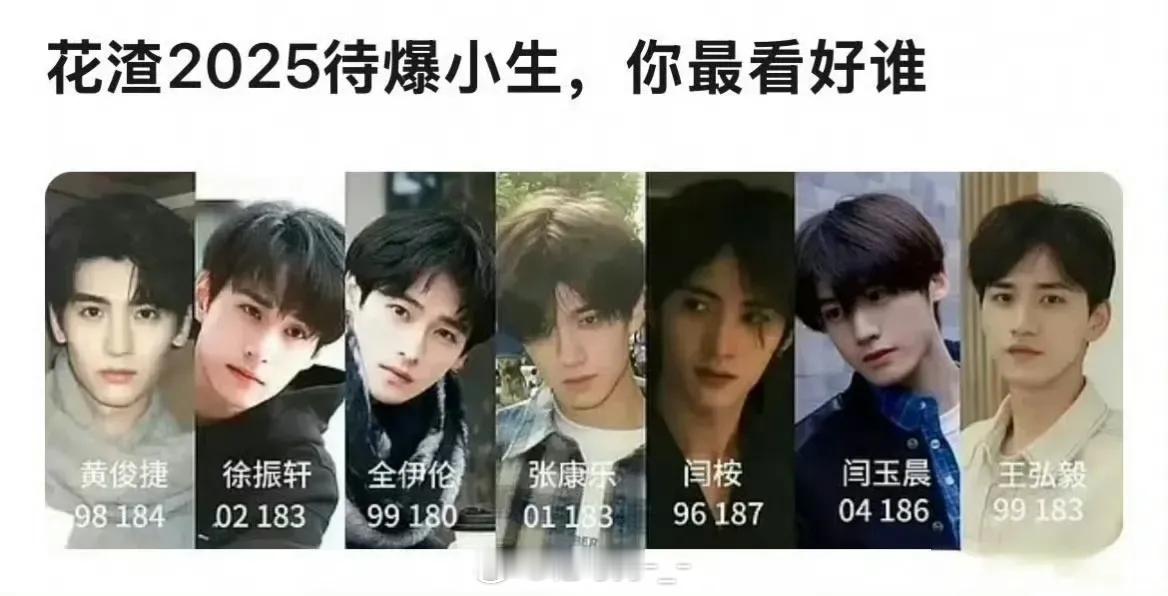网友评选的2025待爆小生：黄俊捷、徐振轩、全伊伦、张康乐、闫桉、闫玉、王弘毅，