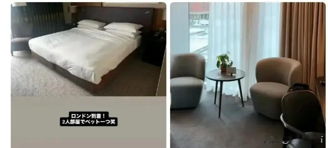 伦敦世乒赛百年庆典,运动员住宿却成槽点。

官方酒店双人间竟是大床房,两人同住还