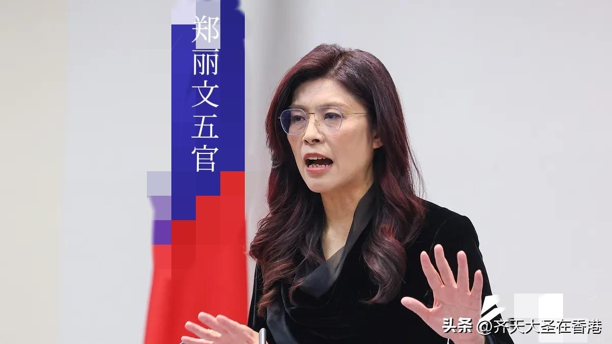 蓝委也忍不住了？黄健豪要郑丽文早点思考「蓝白合」：不要整天只想凭嘴炮说空话博自己