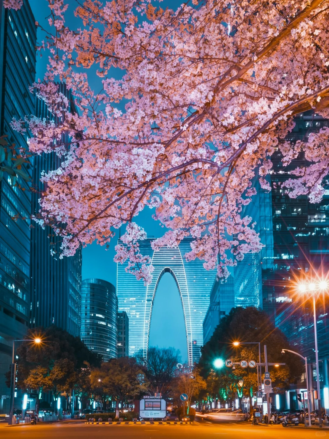 你不能错过的苏州东方之门夜樱🌸拍照指南📸