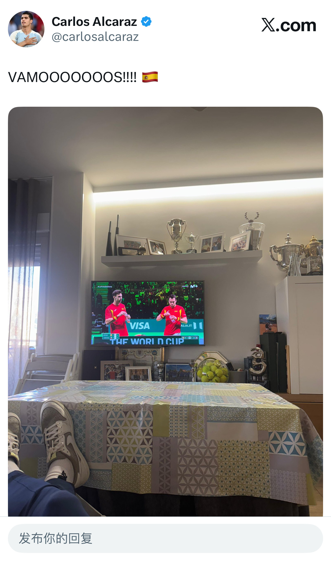 退出戴维斯杯的阿卡，在推上po出了在家看转播支持队友的状态。一张图上细节满满，藏