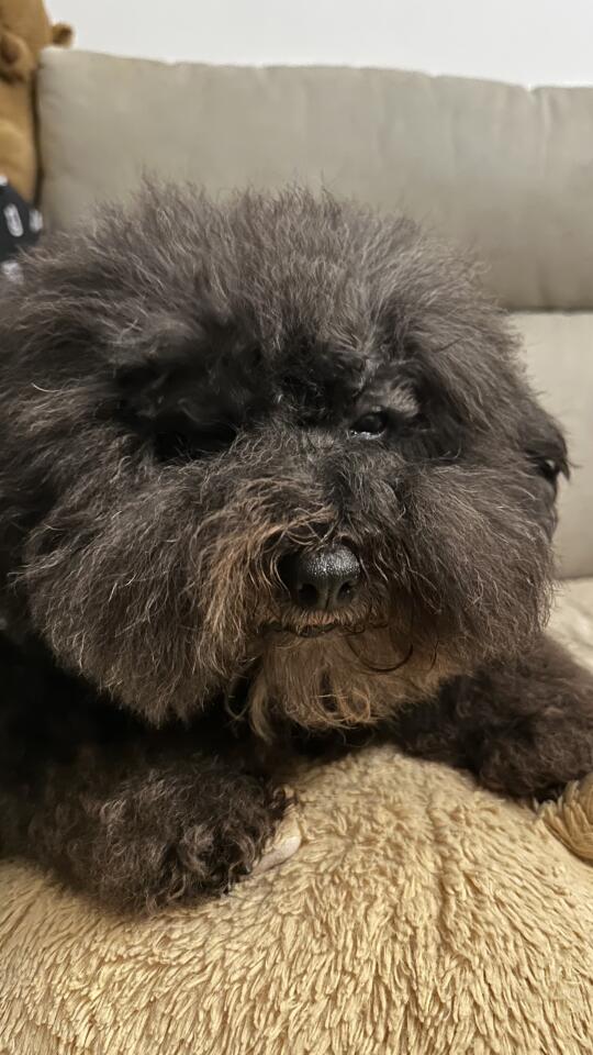 陈番茄，再见啦，你记得还没教我画眼线啊！