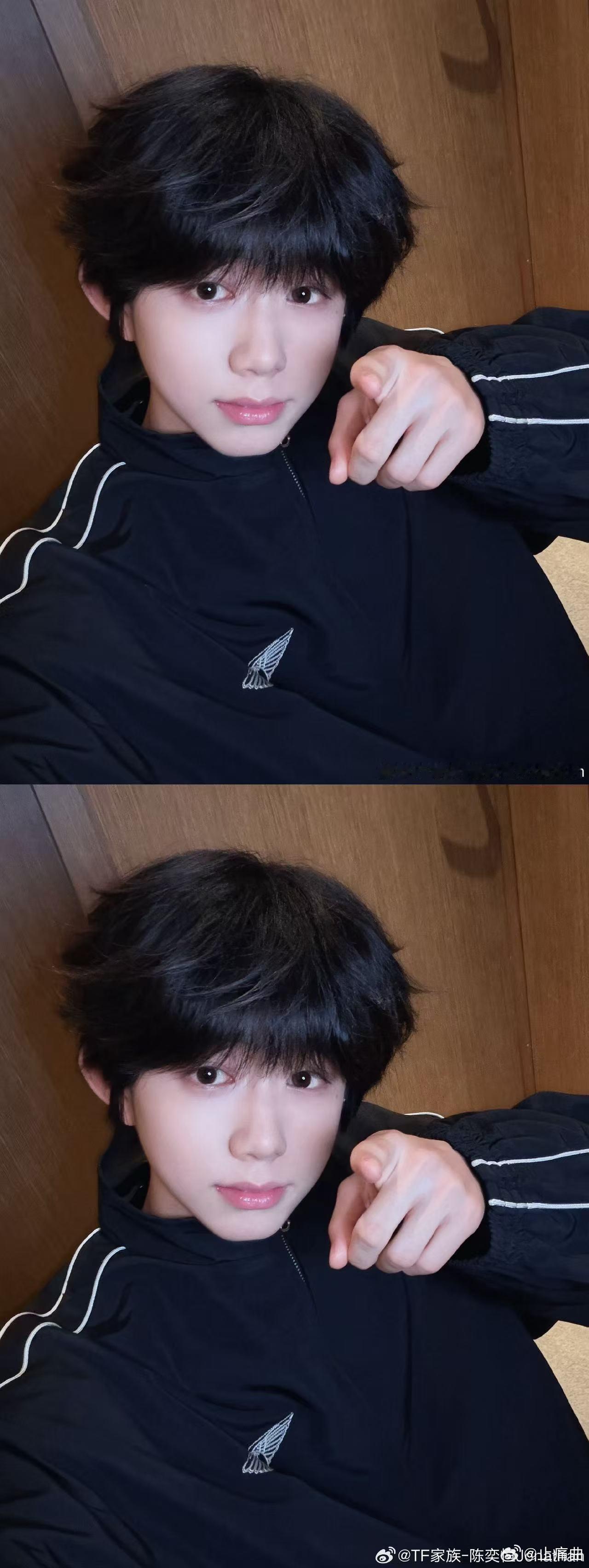 陈奕恒 卷毛小狗 陈奕恒的卷毛自拍太有氛围感了，自带可爱滤镜，帅气不失灵动，完全