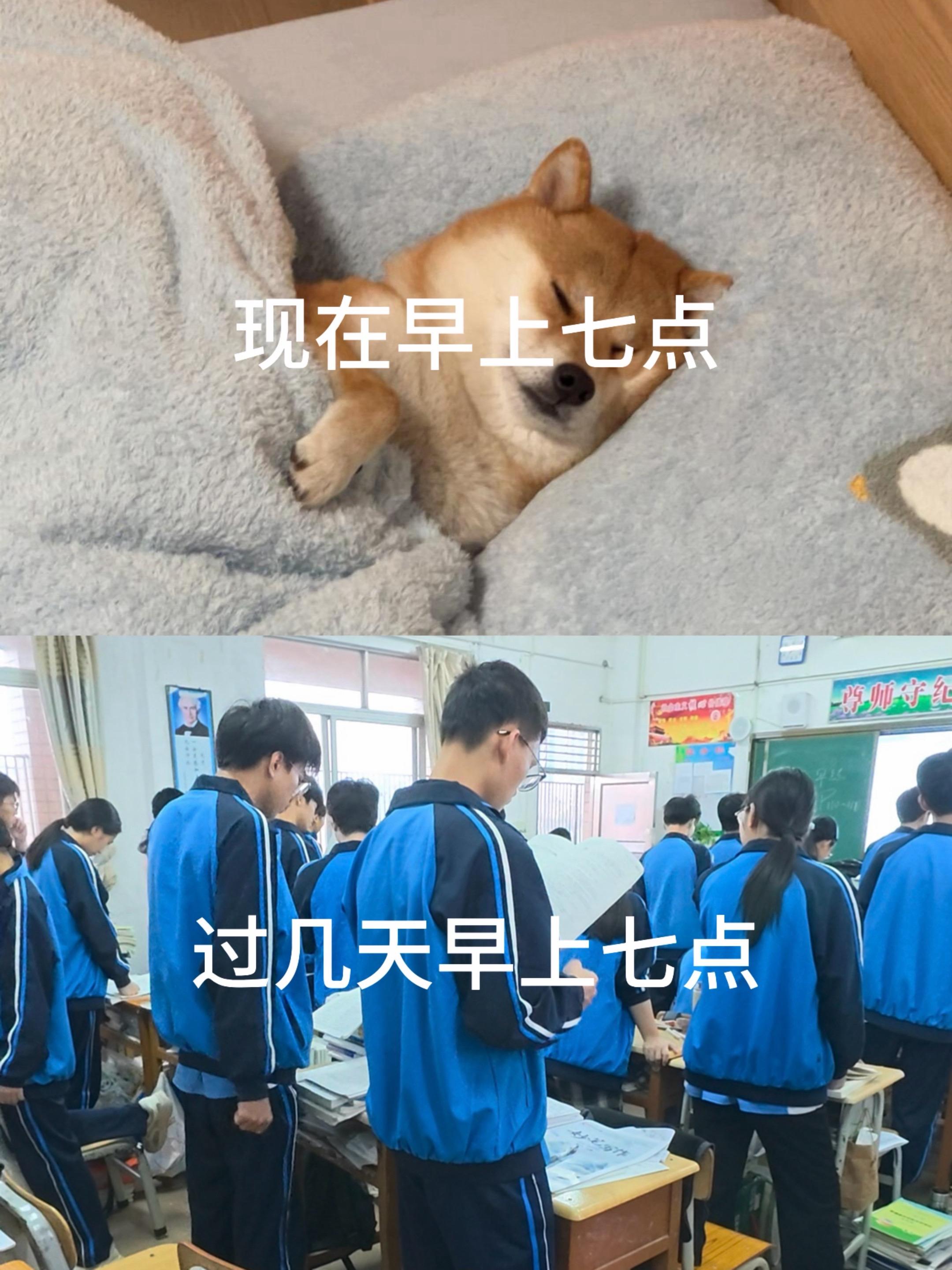 冷知识 过几天开学