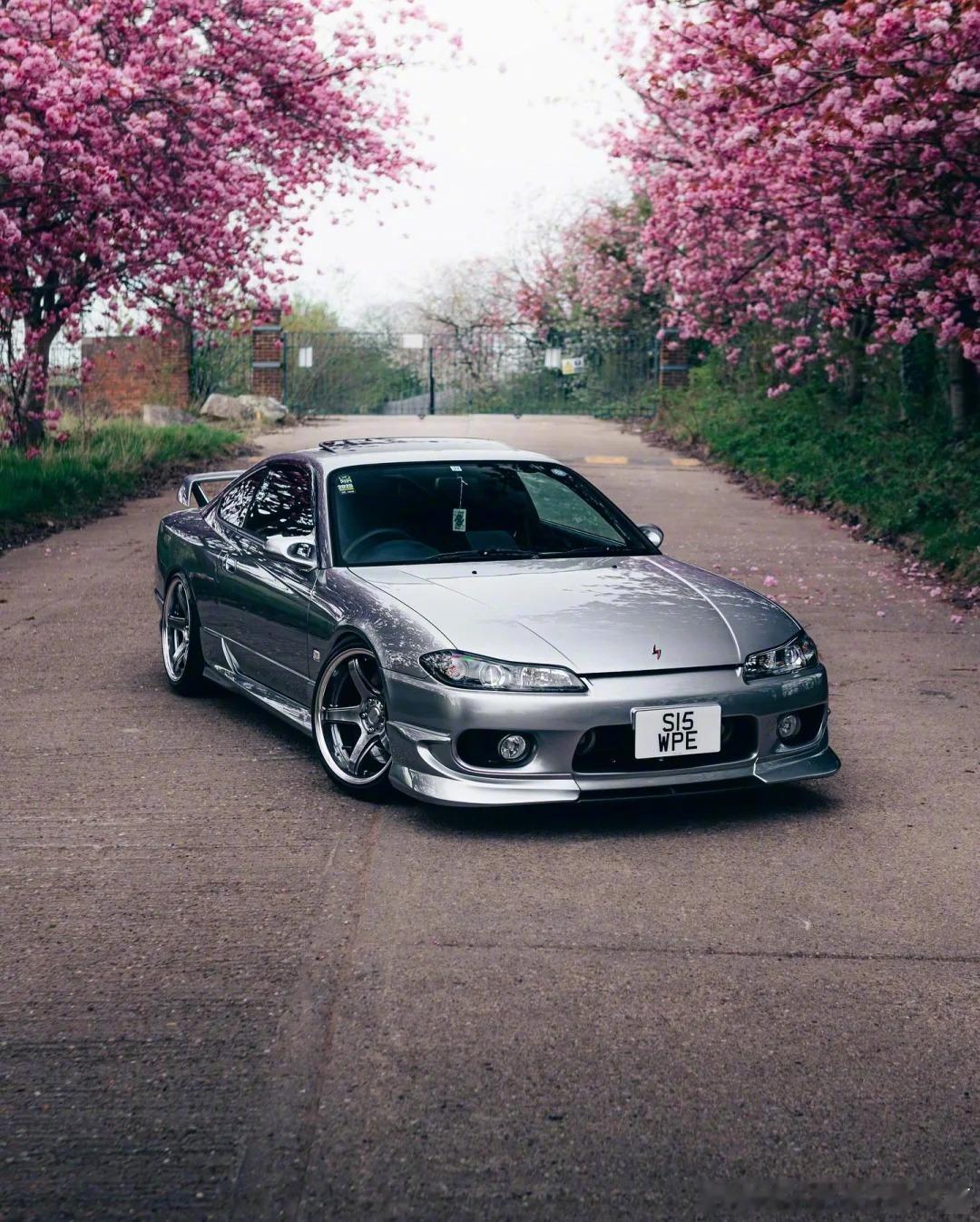 Nissan Silvia S15和花花绝配，泰裤辣[爱慕] ​​​