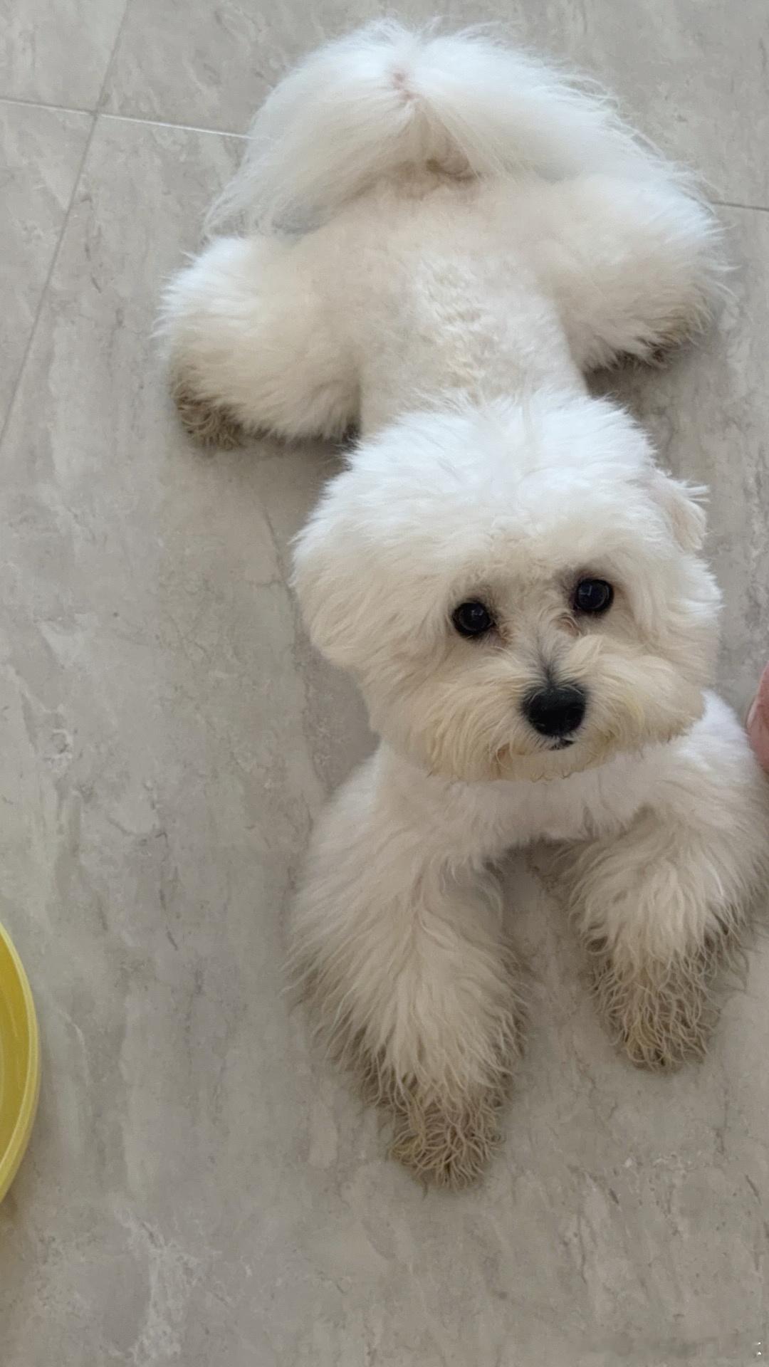 谁懂我的无奈？出去一趟为什么要穿个黑鞋回来？ 