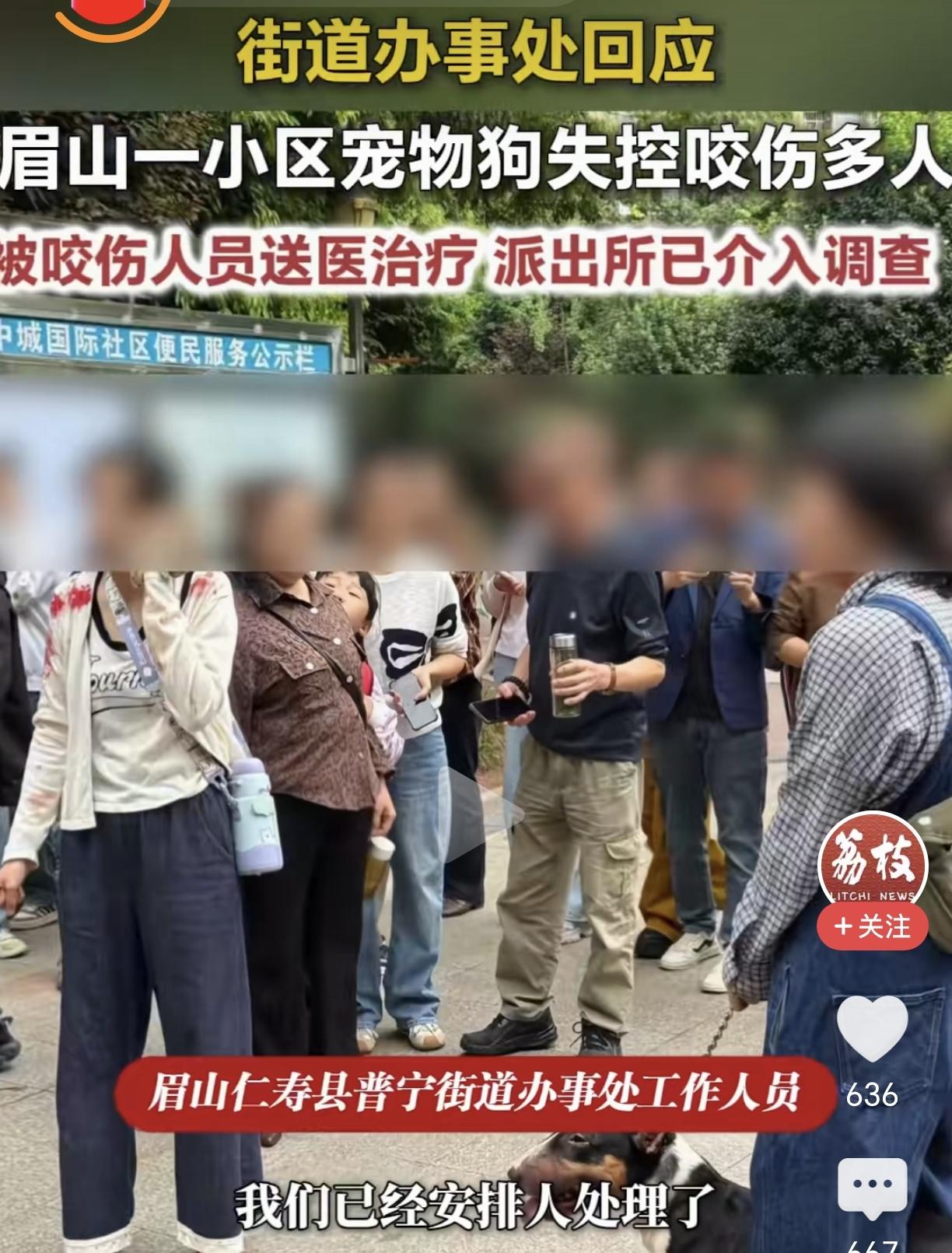 太吓人了！眉山一宠物狗咬伤4-5人！根据媒体报道，9月12号，眉山市仁寿县中城国