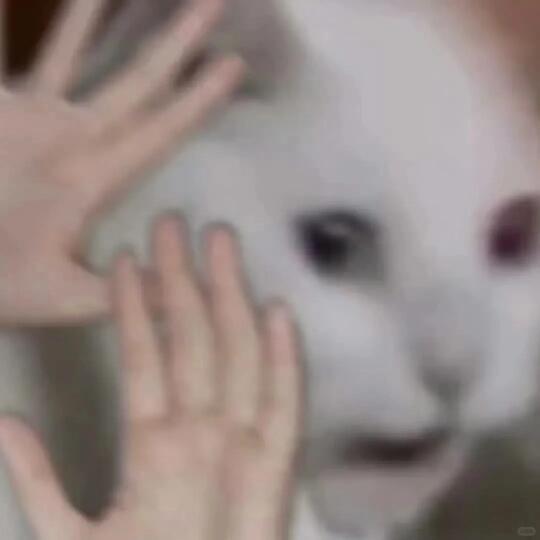 救命。。日本小学生让我跳科目三。。。