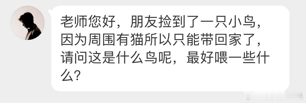 #鸟粉投稿# 一只学飞的【红头长尾山雀】回原地放附近可以躲藏的小树上（把周围的猫