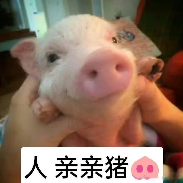 分享图片 
