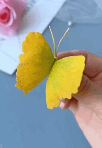 脑子又会了
手又废了