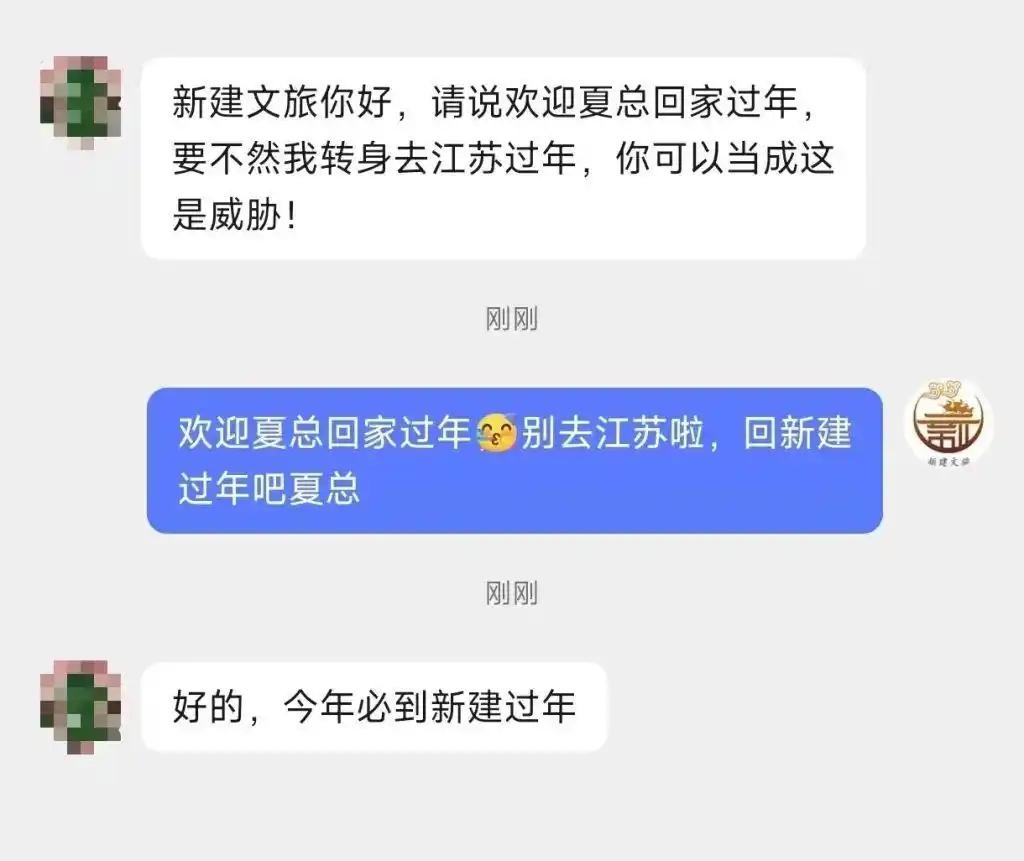 这才是家乡该有的样子！拒绝“官腔”玩转“网感”，一句方言神回复，让回家的路不再只