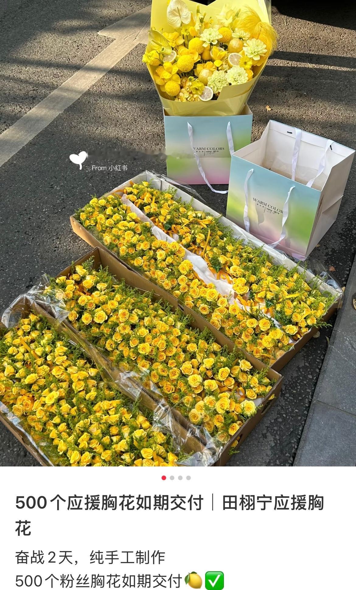 田栩宁粉丝应援胸花 田栩宁粉丝应援胸花真的好漂亮✨💛黄玫瑰花束美极了！祝今晚活