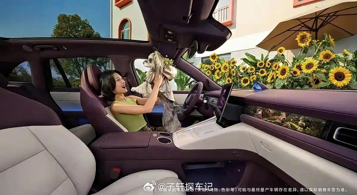 鸿蒙智行问界M6是一款大五座家用SUV，整体设计简约流畅，车身线条舒展，造型年轻