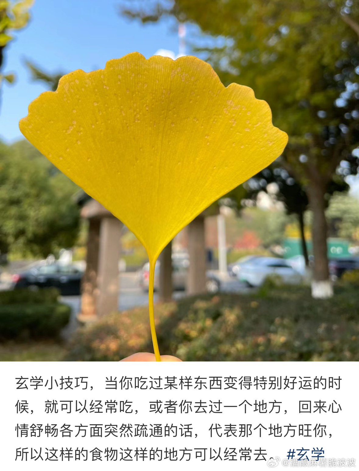 “如果你吃过某样东西或者去过某个地方，回来心情舒畅，各方面变得顺利，说明那个地方
