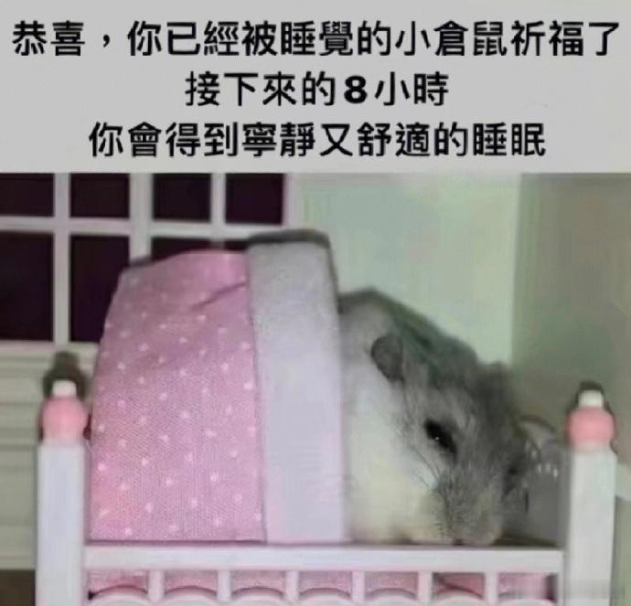 [月亮] 