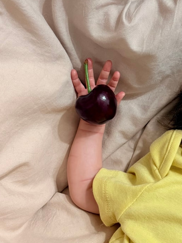 论参照物的重要性原来人类幼崽的手有这么小普通车厘子直接秒变100J春风里派对