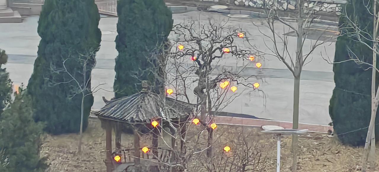 烟台今天十五元宵节
      树上挂着彩灯，火树银花不夜天，只是今夜阴天，想看