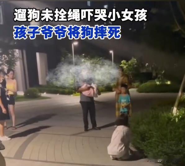 小区遛狗未牵绳，小狗被怒摔致死，责任在谁？
近日，浙江杭州一小区内发生了一起令人