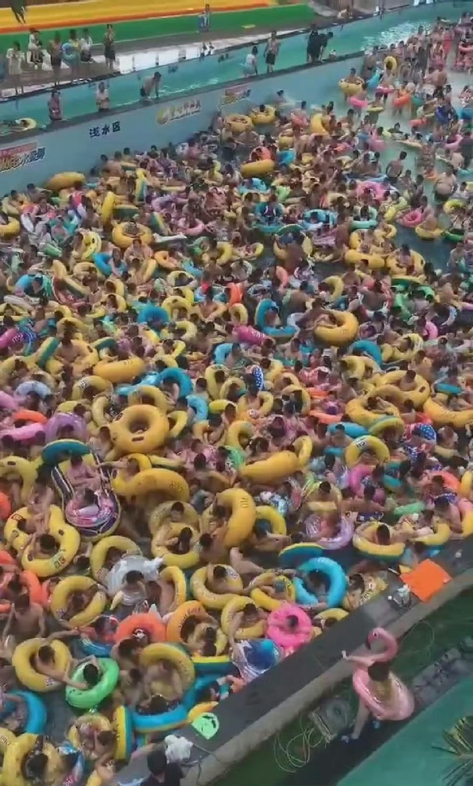 这个泳是非游不可吗？ 