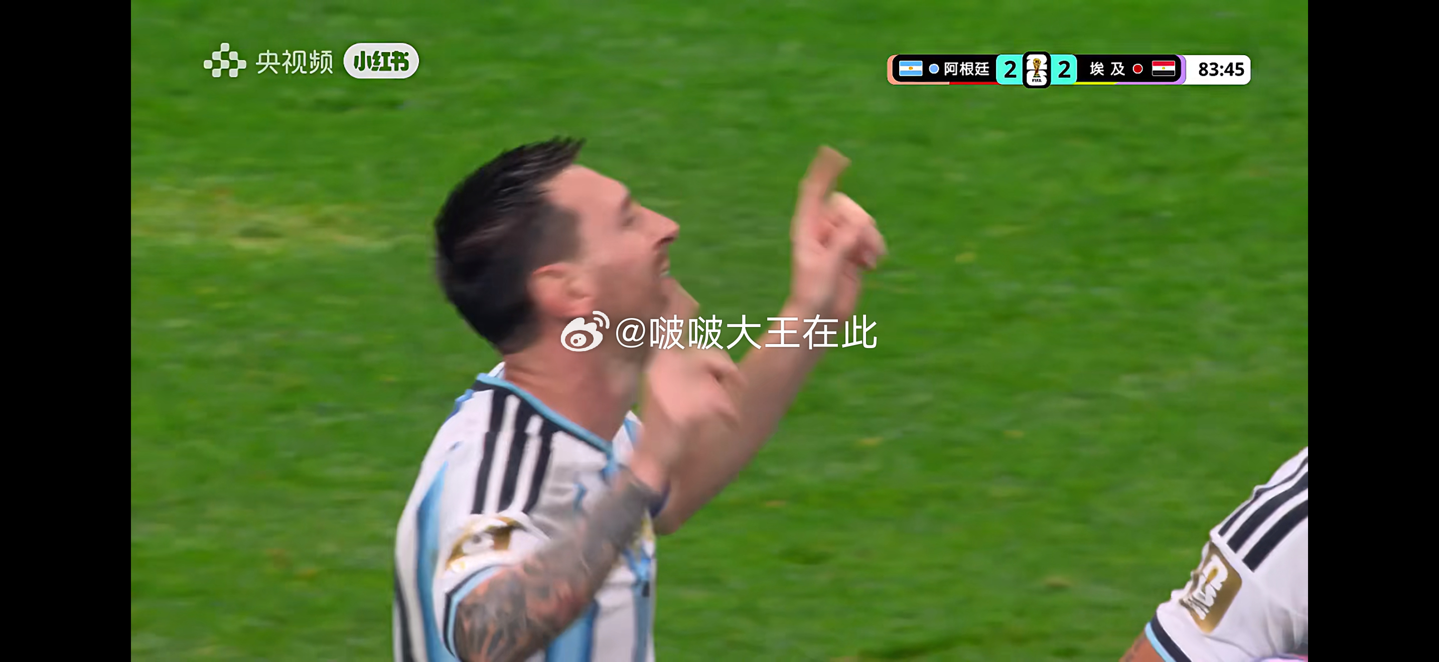 我不行了🤣 