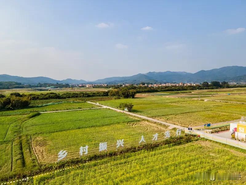 乡村振兴要留住人才，得从多方面下功夫。
从产业发展看，2026年乡村可守好粮食基