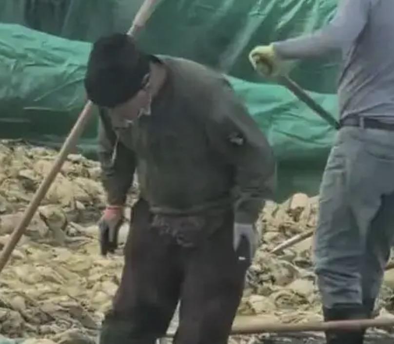 如果不是网友发视频曝光，我们又怎么能想到，美味可口的酸菜生产环境，竟然会是如此的