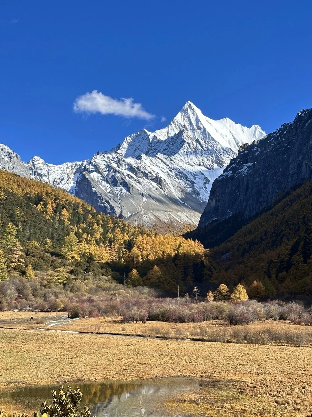 10.28📍稻城亚丁live直出，天气太好，附攻略