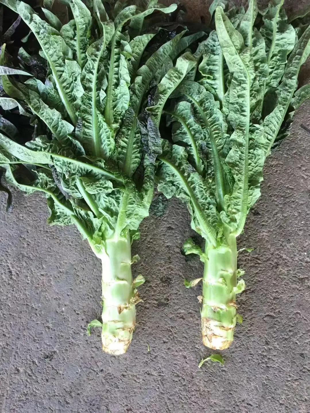 今天的雪，被我错过了，因为它来时在凌晨。我还在睡觉的时候。