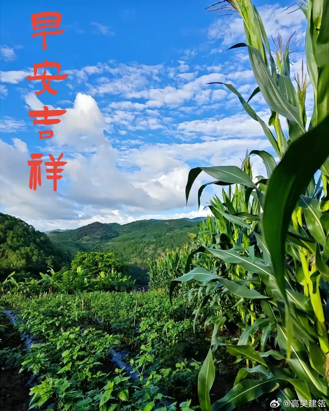 每天摸鱼打卡一夜秋雨三分凉，秋风送爽菊花香，一年四季变化快，转眼又要树叶黄，祝福