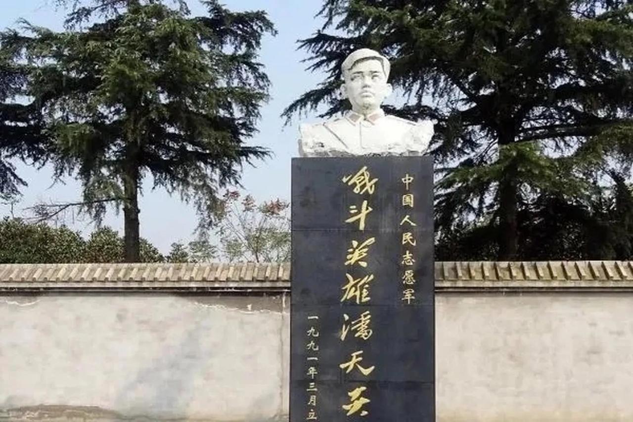 1951年， 在一次执行任务中， 志愿军战士潘天炎因为吃炒面拌雪拉肚子， 实在忍