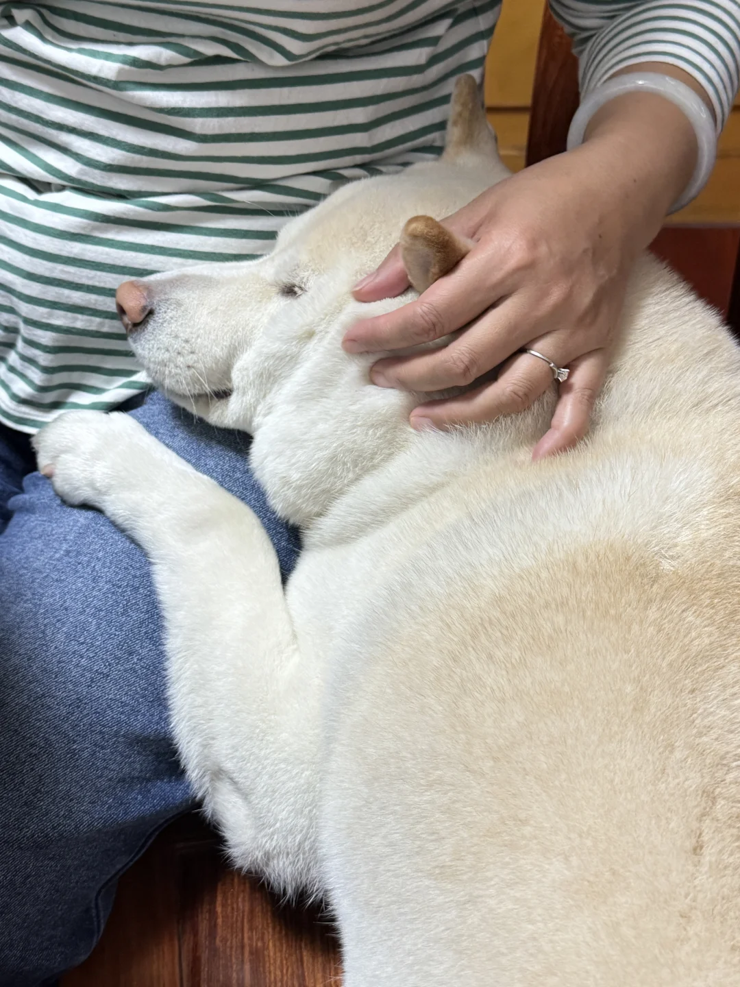 谁还不是妈妈怀里的小宝贝啊