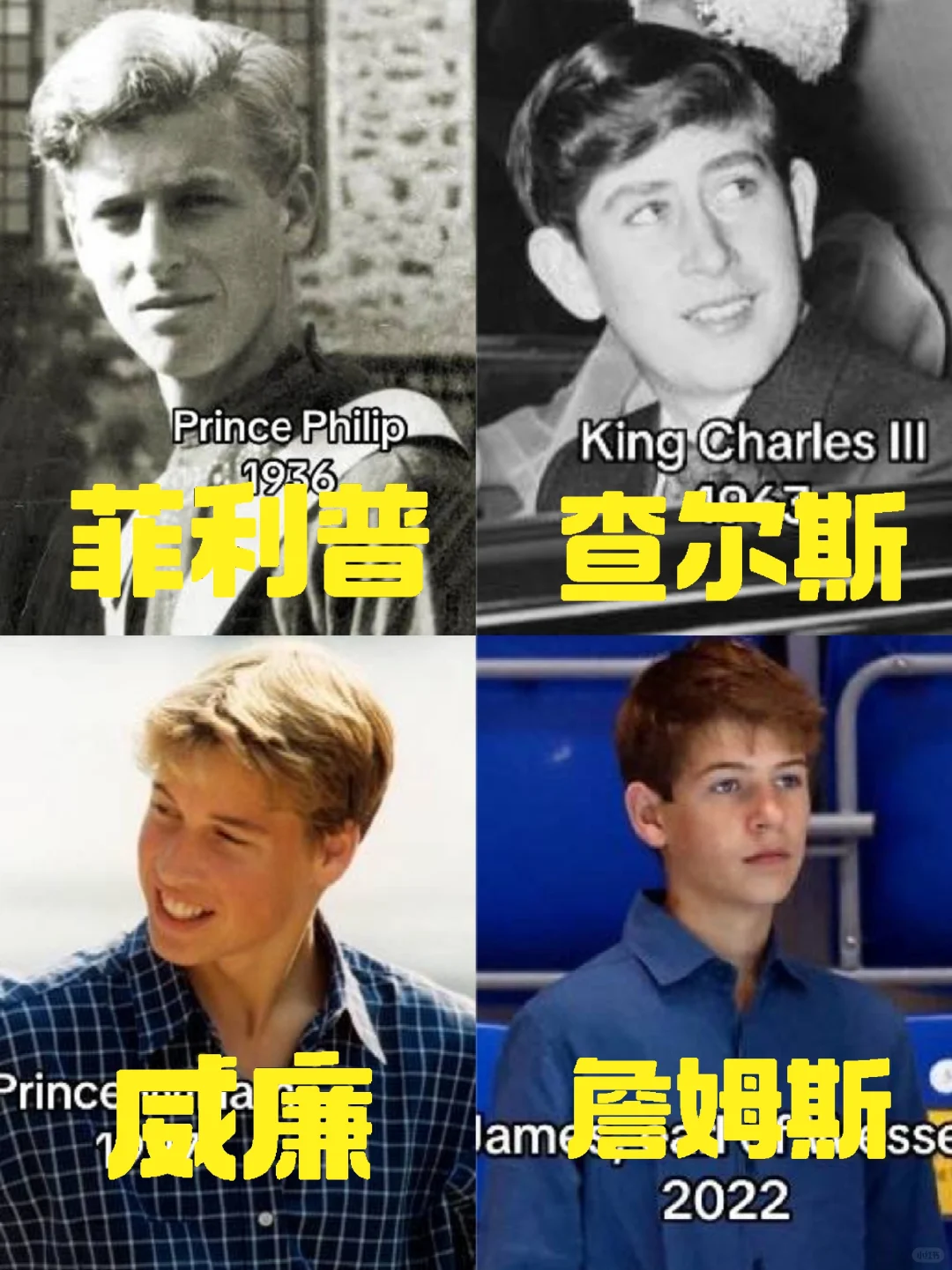 英国王室男性成员，年轻时颜值也不咋地